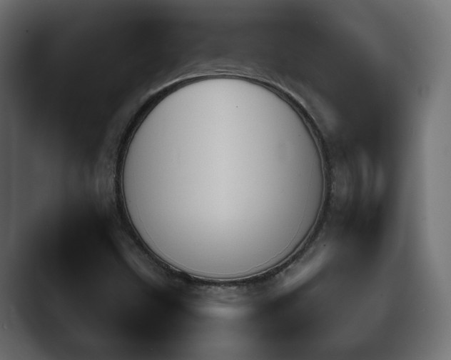 X0000089661499200706281312