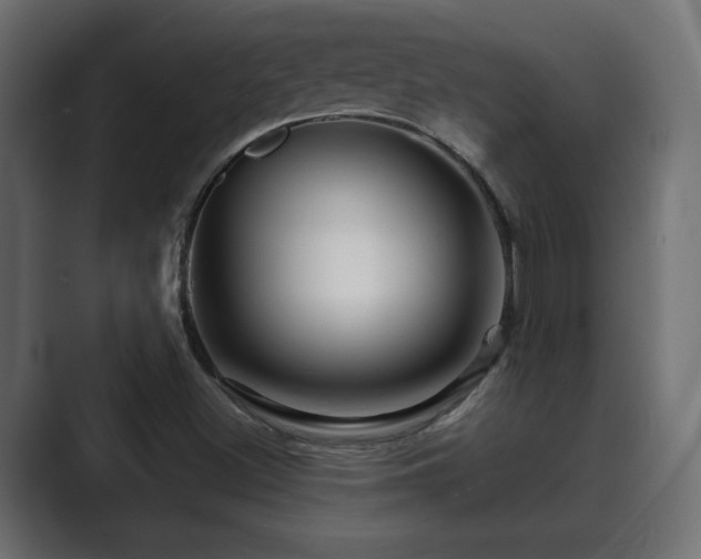 X0000089661500200706281312