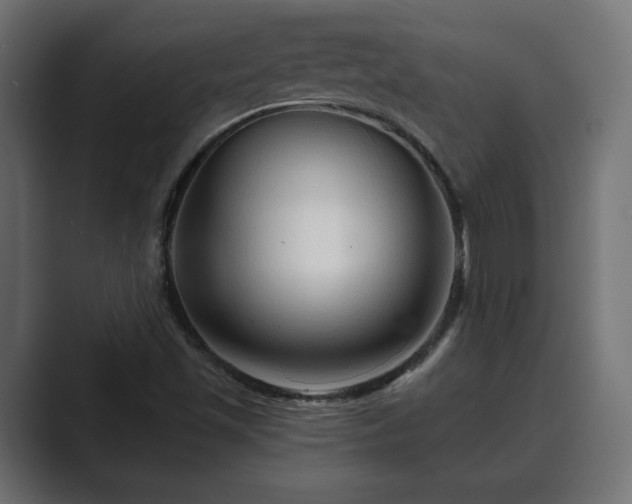 X0000089661501200706281312