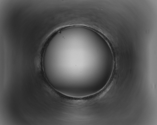 X0000089661502200706281312