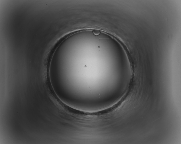 X0000089661503200706281312