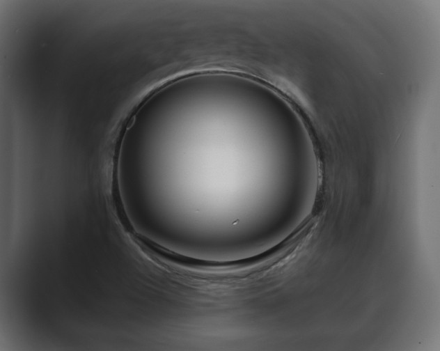 X0000089661504200706281312