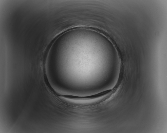 X0000089661505200706281312