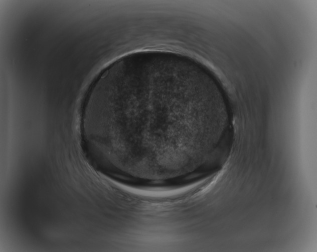 X0000089661506200706281312