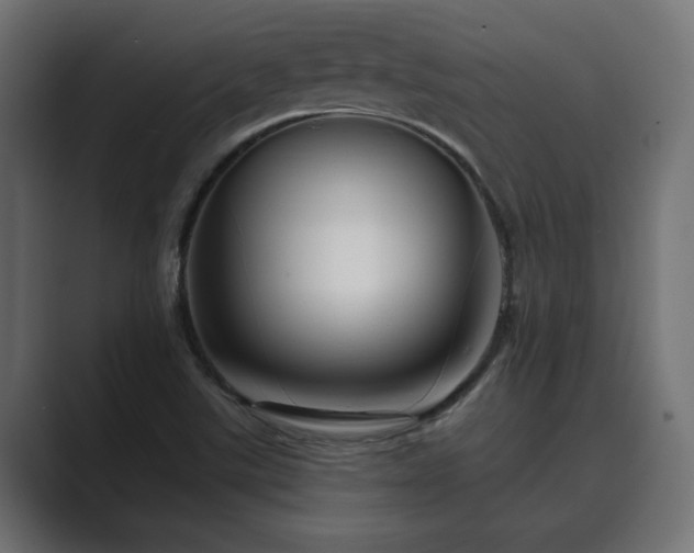 X0000089661507200706281312