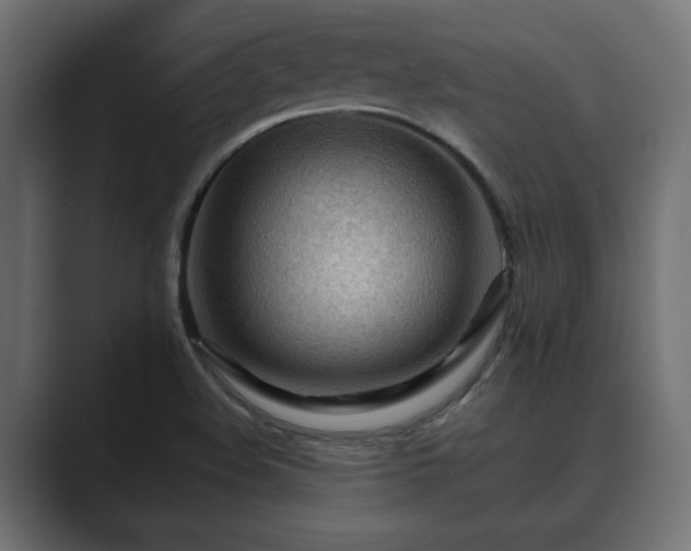 X0000089661508200706281312