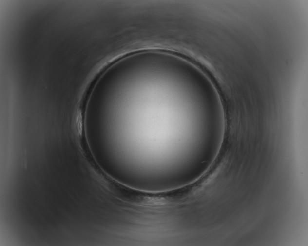 X0000089661509200706281312