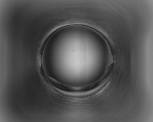 X0000089661510200706281312