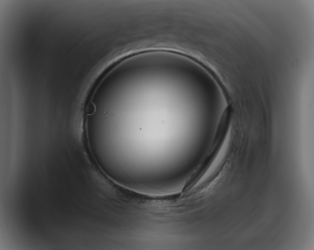 X0000089661511200706281312