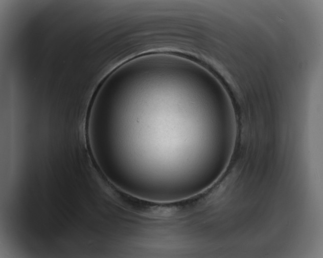 X0000089661513200706281312