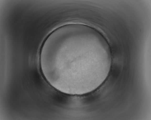 X0000089661514200706281312