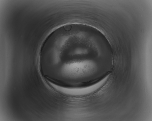 X0000089661515200706281312