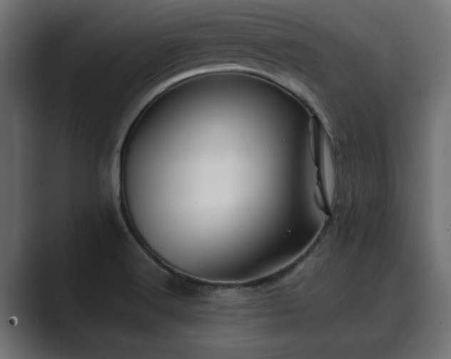 X0000089661516200706281312