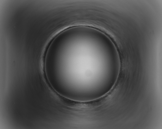 X0000089661517200706281312