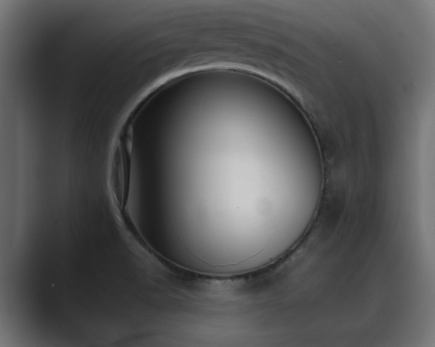 X0000089661518200706281312