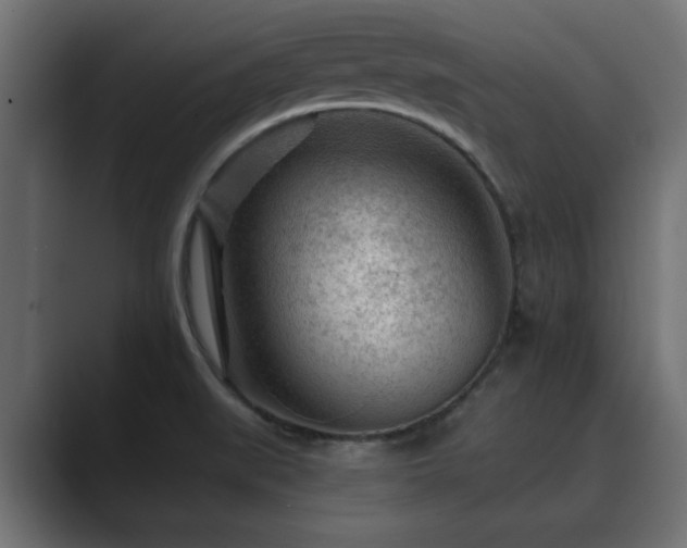 X0000089661519200706281312