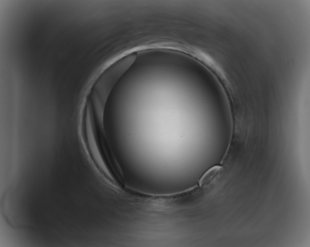 X0000089661520200706281312