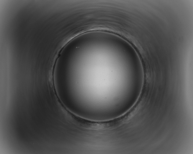 X0000089661521200706281312