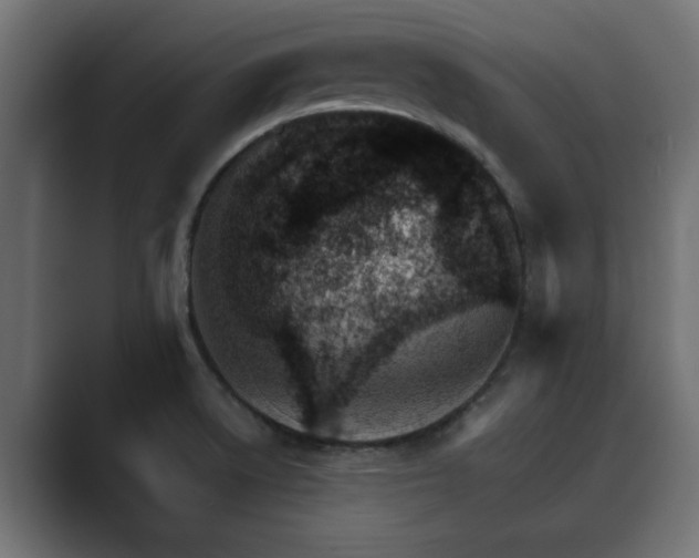 X0000089661522200706281312
