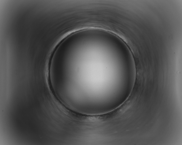 X0000089661523200706281312