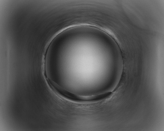 X0000089661524200706281312