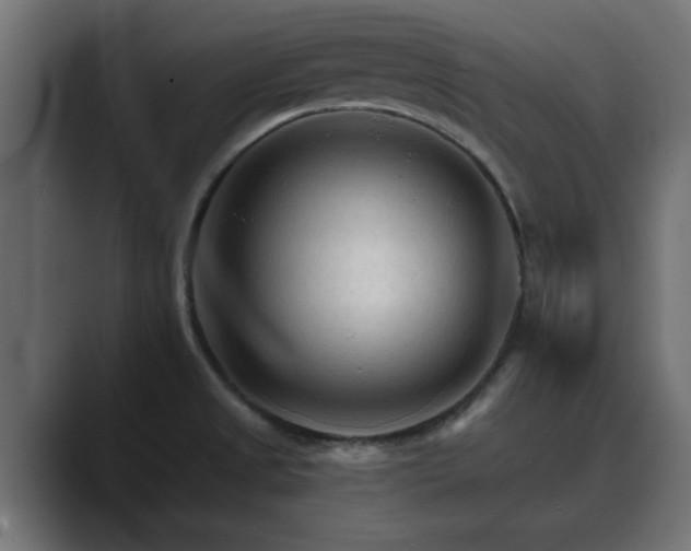 X0000089661525200706281312