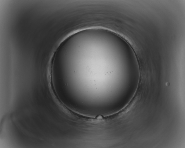 X0000089661526200706281312
