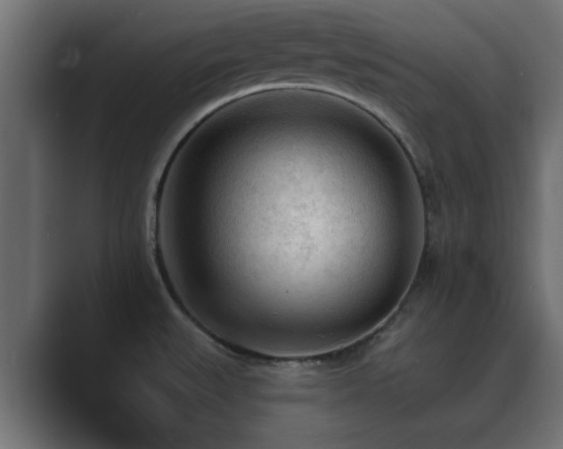 X0000089661527200706281312