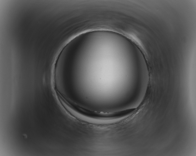 X0000089661528200706281312