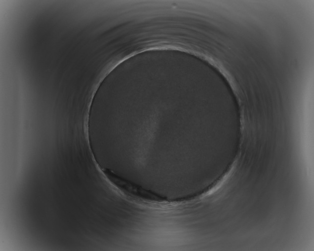 X0000089661529200706281312