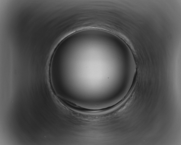 X0000089661530200706281312