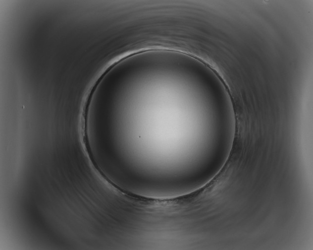 X0000089661531200706281312