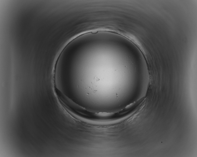 X0000089661532200706281312