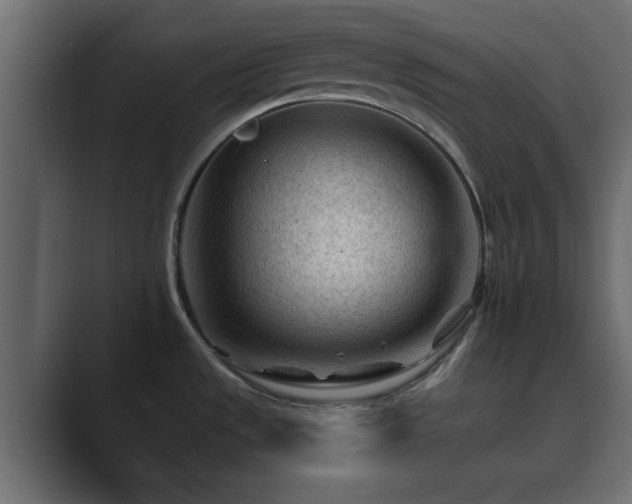 X0000089661533200706281312