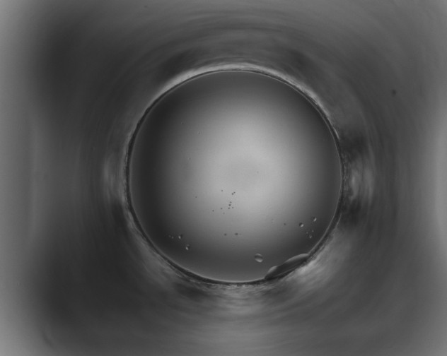 X0000089661534200706281312