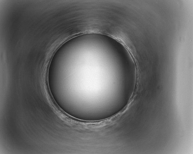 X0000089660001200707051538