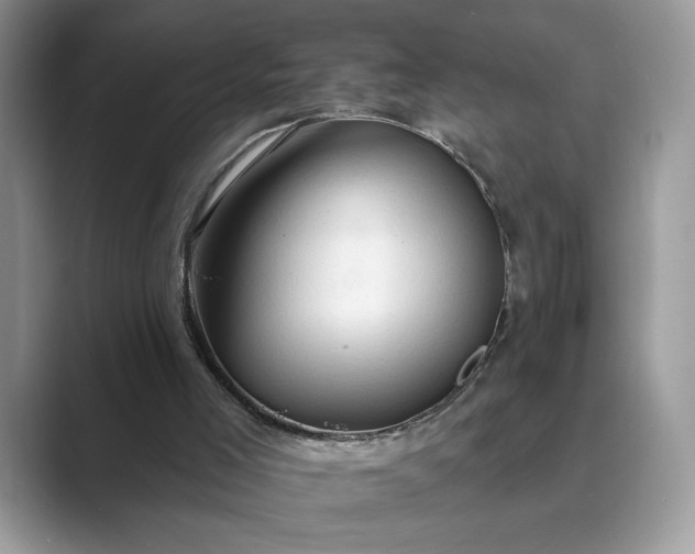 X0000089660005200707051538