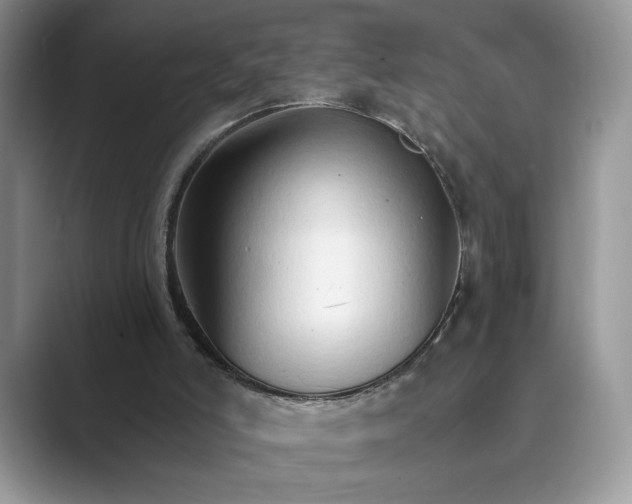 X0000089660006200707051538