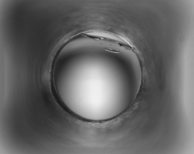 X0000089660007200707051538