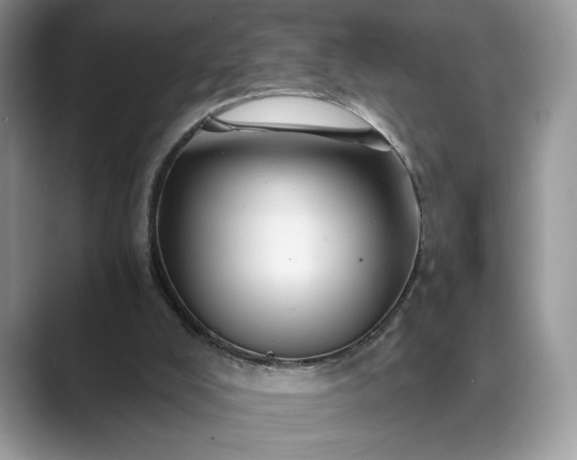 X0000089660008200707051538