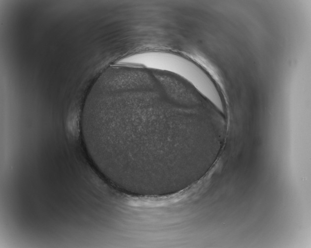 X0000089660009200707051538