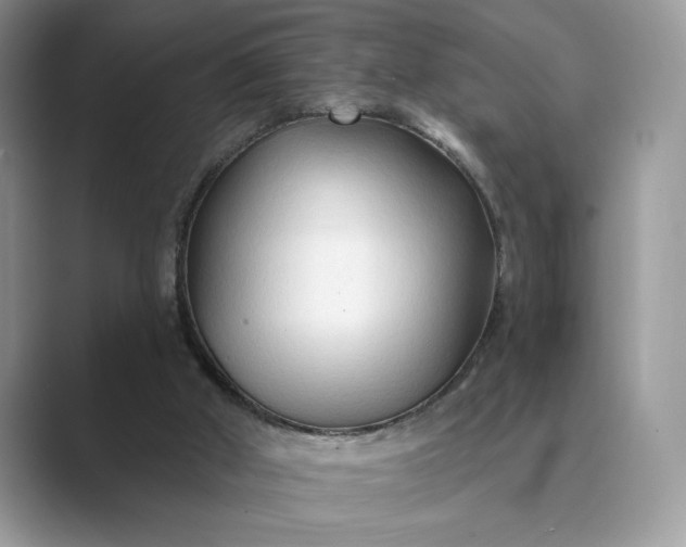 X0000089660010200707051538