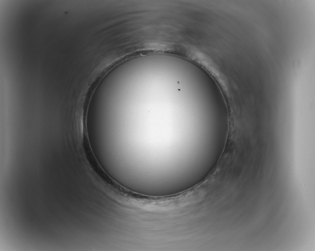 X0000089660011200707051538