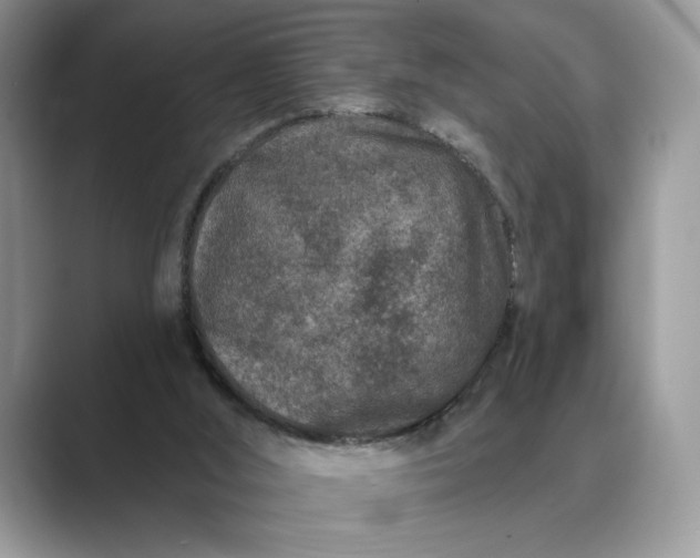 X0000089660012200707051538