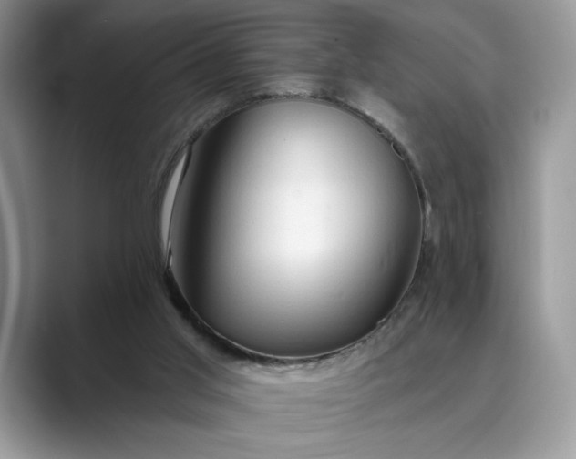 X0000089660013200707051538