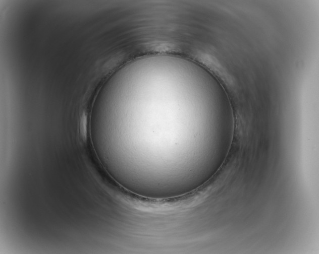 X0000089660014200707051538