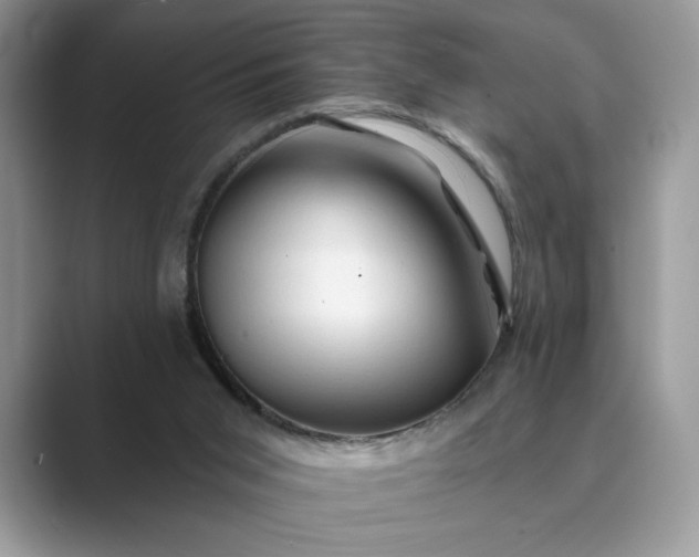 X0000089660015200707051538