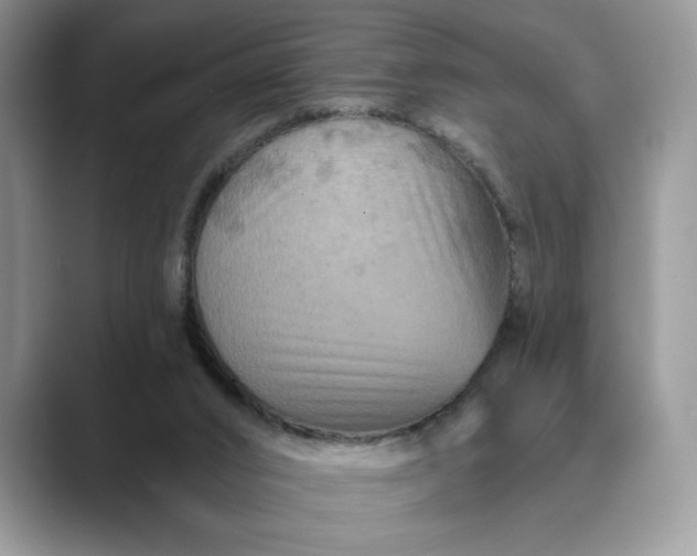 X0000089660016200707051538