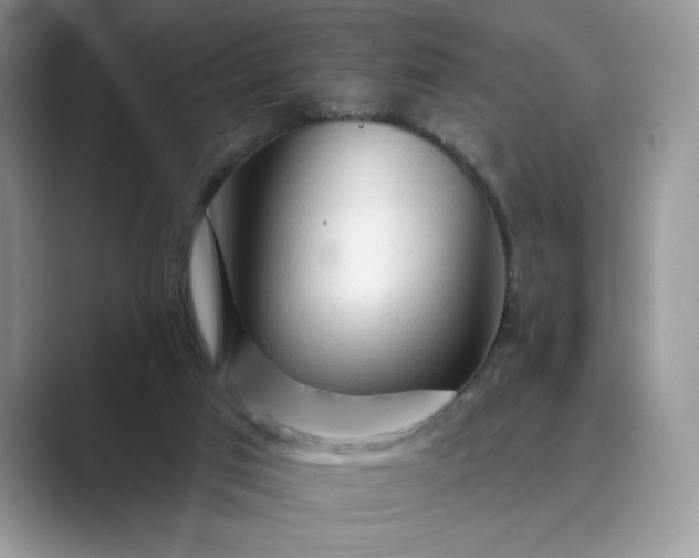 X0000089660017200707051538