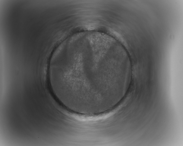 X0000089660018200707051538